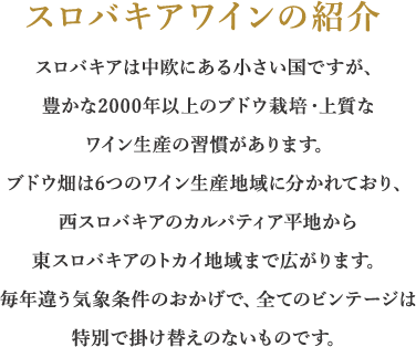 スロバキアワインの紹介